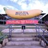 Hotel dekat The Big Banana