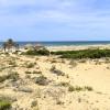 Playa El Carabassi – hotely poblíž