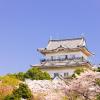 Hotel berdekatan dengan Istana Odawara