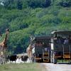 Hotéis perto de: Port Lympne Wild Animal Park