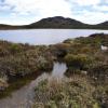 Hotel dekat Danau Besar Tasmania