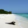 Пляж Доминикус: отели поблизости