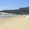 Hotéis perto de: Playa de Bolonia