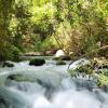 黑門山支流巴尼亞自然保護區（Hermon Stream Banias Nature Reserve）附近的飯店