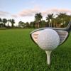 Hotels near Citrus Golf