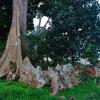 Entebbe Botanical Garden: viešbučiai netoliese