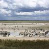 Hotellid huviväärsuse Etosha rahvuspargi Andersoni värav lähedal