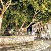 Hotels near Tree of Hippocrates