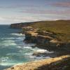 Hotels near Royal National Park