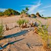 沙洲省立公園（Sandbanks Provincial Park）附近的飯店