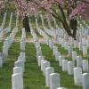 Hoteles cerca de Cementerio de Arlington