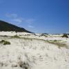 Hotels near Stockton Beach