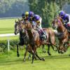 Hoteles cerca de Hipódromo de Caulfield