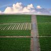 Hotels near Durbanville Hills Winery