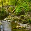 Tollymore Forest Park: hotel