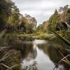 Hotelek a Trebah Garden botanikus kert közelében