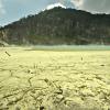 Hoteles cerca de Cráter de Kawah Putih