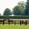 Hotels near Newmarket Racecourse