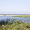Парк водно-болотных угодий Исимангалисо: отели поблизости