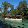 維基瓦治泉（Weeki Wachee Springs）附近的飯店