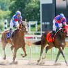 Hoteles cerca de Hipódromo Gulfstream Park