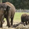 Khách sạn gần Little Rock Zoo