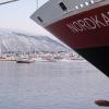 Hoteli v bližini znamenitosti trajektni terminal Hurtigruten Tromsø