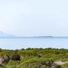 Hotelek a Maremma Regionális Park közelében