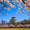 Hotels near Osaka Castle