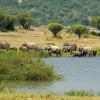 Queen-Elizabeth-Nationalpark: Hotels in der Nähe