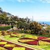 Hotels near Madeira Botanical Garden