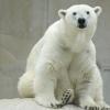 コロンバス動物園＆水族館周辺のホテル