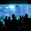 Hotels near Antalya Aquarium