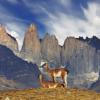 Hotels near Torres del Paine base