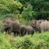 大象自然保護公園（Elephant Nature Park）附近的飯店