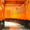 Hotéis perto de: Templo Fushimi Inari Taisha