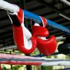 Тренировочный лагерь по смешанным боевым искусствам и тайскому боксу «Тайгер»: отели поблизости
