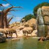 Hotelek a Bioparc Valencia állatkert közelében