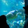 New England Aquarium: hotel