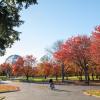 Hoteles cerca de Flushing Meadows