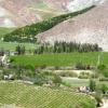 Hotels near Elqui Valley