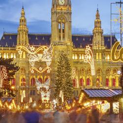 Коледен базар Виена, Виена