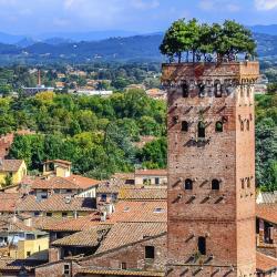 Torre Guinigi