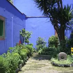 フリーダ・カーロ博物館, メキシコシティ