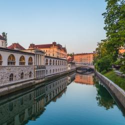 Ljubljana Central Market, Lublaň