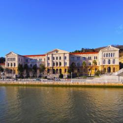 Deusto universitetas