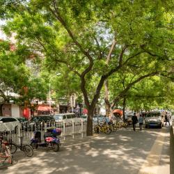 Yabao Road, Beijing