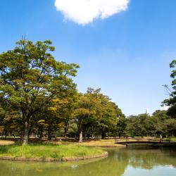 Yoyogi Park