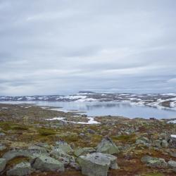 Hardangervidda, Kinsarvik