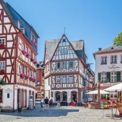 Jardín Kirschgarten / Centro histórico de Mainz